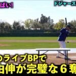 ラストを完璧な直球で締める！山本由伸 2度目のライブBPで６奪三振！【現地映像】ドジャース春季キャンプ2024【スプリングトレーニング】