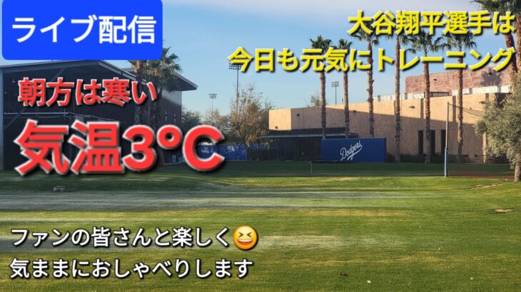 【ライブ配信】大谷翔平選手は今日も元気にトレーニング⚾️朝方は気温3℃と寒い⚾️ファンの皆さんと楽しく😆気ままにおしゃべりします✨Shinsuke Handyman がライブ配信中！