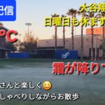 【ライブ配信】大谷翔平選手は日曜日も休まずトレーニング❓気温3℃😱ファンの皆さんと楽しく😆気ままにおしゃべりしながらお散歩💫Shinsuke Handyman がライブ配信中！