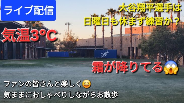 【ライブ配信】大谷翔平選手は日曜日も休まずトレーニング❓気温3℃😱ファンの皆さんと楽しく😆気ままにおしゃべりしながらお散歩💫Shinsuke Handyman がライブ配信中！