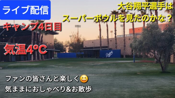 【ライブ配信】大谷翔平選手はスーパーボウルを見たのかな❓キャンプ4日目⚾️気温4℃‼️ファンの皆さんと楽しく😆気ままにおしゃべり&お散歩💫Shinsuke Handyman がライブ配信中！