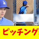 大谷翔平、キャンプでシャドーピッチング練習を姿を見せる【5chなんG】