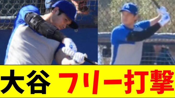 大谷翔平、キャンプ初のフリー打撃でとんでもない打球を飛ばしまくる【5chなんG】