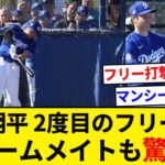 大谷翔平今キャンプ２度目の屋外フリー打撃にドジャースナインも驚き【5chまとめ】【なんJまとめ】