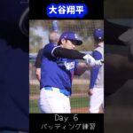 大谷翔平キャンプ6日目バッティング練習#大谷翔平現地映像 #shorts #ドジャース #ohtanishohei  #mbl