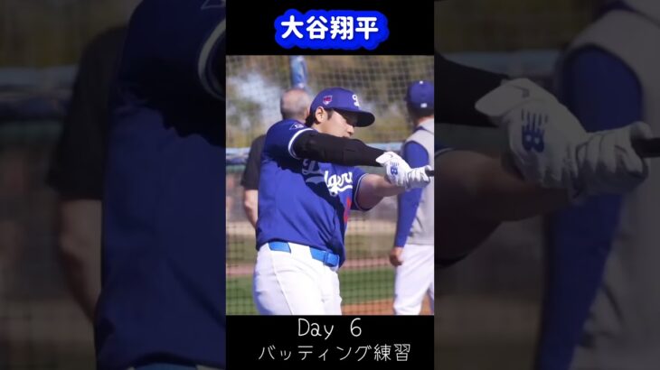 大谷翔平キャンプ6日目バッティング練習#大谷翔平現地映像 #shorts #ドジャース #ohtanishohei  #mbl