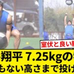 大谷翔平さん、7.25kgの物をとんでもない高さまで投げ捨てる【5chまとめ】【なんJまとめ】