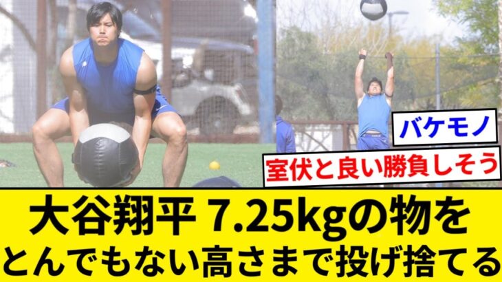 大谷翔平さん、7.25kgの物をとんでもない高さまで投げ捨てる【5chまとめ】【なんJまとめ】