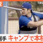 「7億ドルの男はキャンプの話題の中心」キャンプ地・アリゾナでも”大谷フィーバー”「体の仕上がりはもう100%に近い」【Nスタ解説】｜TBS NEWS DIG