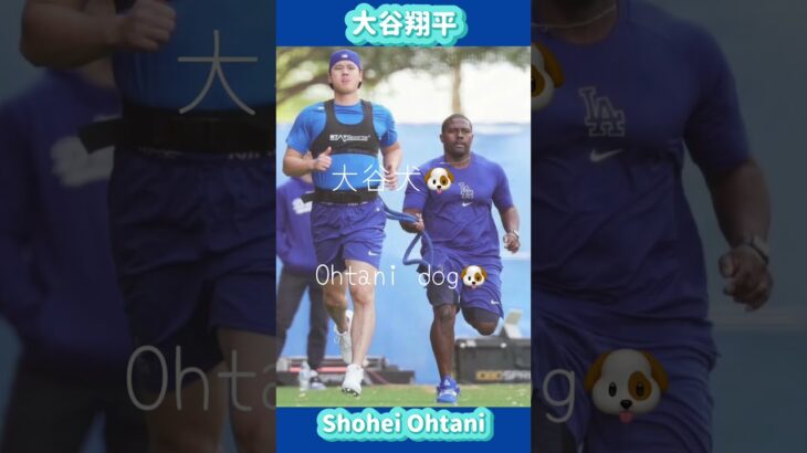 大谷翔平可愛すぎる😍Adorably cute Shohei Ohtani❗️#shorts #大谷翔平現地映像  #dodgers  #mbl