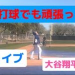 大谷翔平選手ライブBP！！キャンプ生配信 OHTANI live