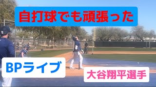 大谷翔平選手ライブBP！！キャンプ生配信 OHTANI live