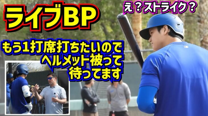 ライブBP‼️もっと打ちたかった大谷はヘルメット被ったままでした😆ケリーとのホッコリシーンも😊 【現地映像】アリゾナキャンプShoheiOhtani Dodgers