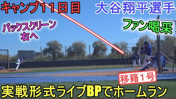 実戦形式ライブBPでバックスクリーン右へ弾丸アーチでファン喝采！（打撃のみ）～キャンプ11日目【大谷翔平選手】Shohei Ohtani 2024 Live  BP Spring Training