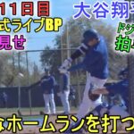 実戦形式ライブBPでバックスクリーンへ強烈なホームラン（全部見せ）～キャンプ11日目【大谷翔平選手】Shohei Ohtani 2024 Live  BP Spring Training Day 11