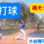 BP速報！自打球で痛いのにがんばる大谷翔平選手！！BP by OHTANI!!!