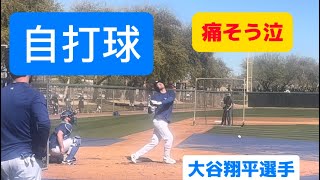 BP速報！自打球で痛いのにがんばる大谷翔平選手！！BP by OHTANI!!!