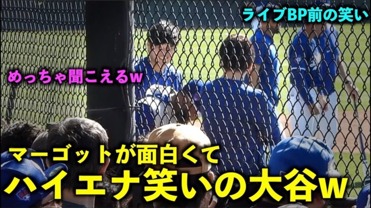 ライブBP前が面白すぎたw マーゴットと絡んでハイエナ笑いの大谷翔平【現地映像】ドジャース春季キャンプ2024【スプリングトレーニング】