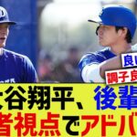 大谷翔平、後輩に打者視点でアドバイス【なんJ プロ野球反応】