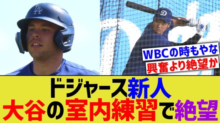 ドジャース新人、大谷の打撃練習を見て絶望する【なんJ プロ野球反応】