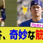 大谷、プロすぎる筋トレで黙々と体をいじめる【なんJ プロ野球反応】