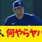 大谷翔平、とんでもない事実が発覚【なんJ反応】