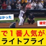 日本で１番人気のある「ライトフライ」【なんJプロ野球反応】 #WBC #筒香嘉智