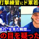 【大谷翔平】「なんだあれ？」パワー自慢のド軍有望株が漏らした“本音”がヤバい…大谷とアクーニャJrに共通する“一流打者の証”にド軍若手が震撼【海外の反応】