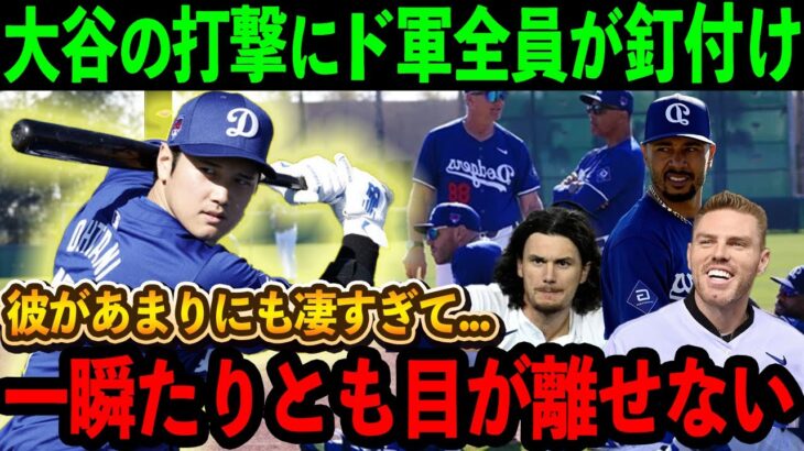 【緊急事態】大谷の打撃にチーム全員が釘付けでトレーニング中断の事態に！？「オオタニから目が離せなくて本気で困ってる」同僚スター達をメロメロにする打撃練習がヤバすぎる【海外の反応/MLB/野球】