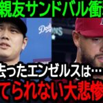 大谷の親友サンドバルがエンゼルスの衝撃的な内情を暴露「翔平が去ったエンゼルスは…目も当てられない大悲惨球団だ」【海外の反応/MLB/野球】