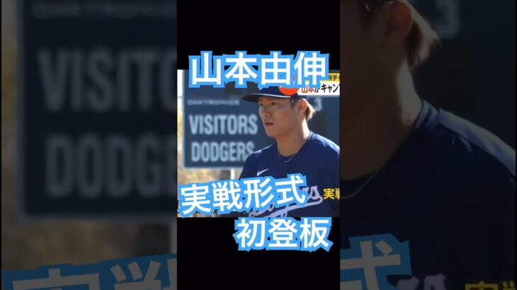 【MLB】ドジャース山本由伸、実戦形式初登板 ライブBP #大谷翔平 #shoheiohtani #mlb #mvp #wbc #angels #dodgers #侍ジャパン #エンゼルス