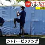 MLBはオープン戦開幕! 「大谷 VS 山本」の夢の対決は?　大谷選手の「完全復帰プラン」?