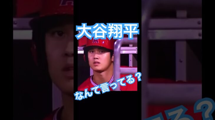 【MLB】クイズ大谷翔平、ヘルメットかぶってひとこと なんて言ってる？ #大谷翔平 #shoheiohtani #mlb #mvp #wbc #angels #侍ジャパン #エンゼルス