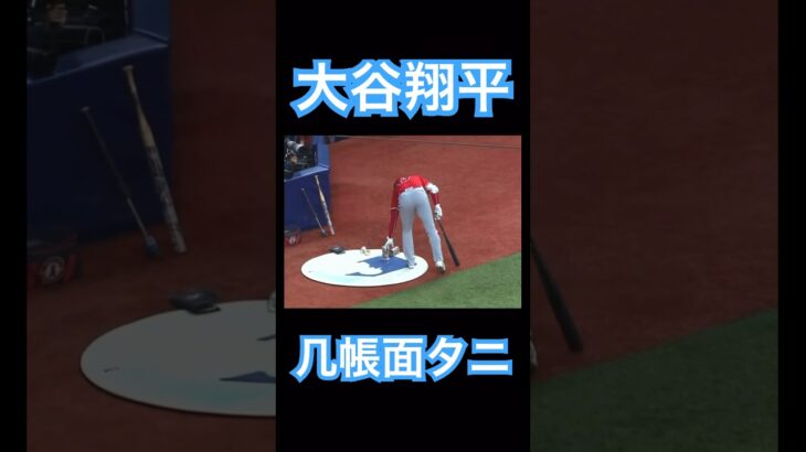 【MLB】几帳面な片付け方をする大谷翔平 #大谷翔平 #shoheiohtani #mlb #mvp #wbc #angels #dodgers #侍ジャパン #エンゼルス