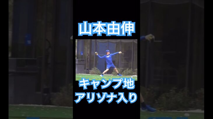 【MLB】山本由伸もキャンプ地アリゾナで始動！ #大谷翔平 #shoheiohtani #mlb #mvp #wbc #angels #dodgers #侍ジャパン #エンゼルス