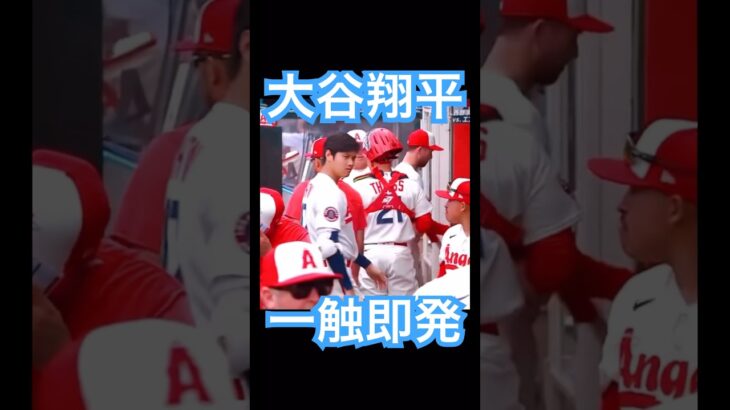 【MLB】肩がぶつかり一触即発の大谷翔平 #大谷翔平 #shoheiohtani #mlb #mvp #wbc #angels #dodgers #侍ジャパン #エンゼルス