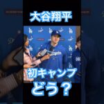 【MLB】ドジャース大谷翔平囲み取材、初キャンプについて語る #大谷翔平 #shoheiohtani #mlb #mvp #wbc #angels #dodgers #侍ジャパン #エンゼルス