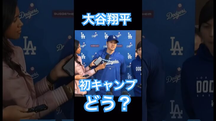 【MLB】ドジャース大谷翔平囲み取材、初キャンプについて語る #大谷翔平 #shoheiohtani #mlb #mvp #wbc #angels #dodgers #侍ジャパン #エンゼルス