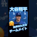 【MLB】大谷翔平、山本由伸について「ただのチームメイト🤗」 #大谷翔平 #shoheiohtani #mlb #mvp #wbc #angels #dodgers #侍ジャパン #エンゼルス