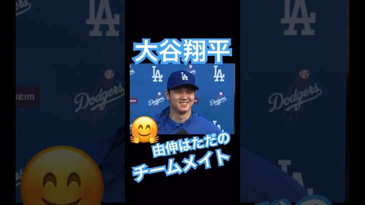 【MLB】大谷翔平、山本由伸について「ただのチームメイト🤗」 #大谷翔平 #shoheiohtani #mlb #mvp #wbc #angels #dodgers #侍ジャパン #エンゼルス