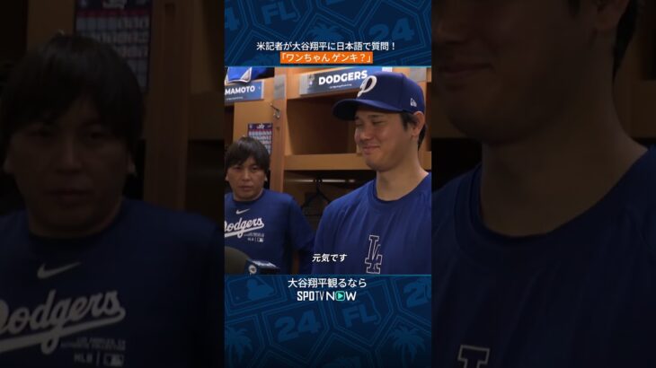 【MLB】米記者が大谷翔平に日本語で質問！「ワンちゃん ゲンキ？」 #shorts