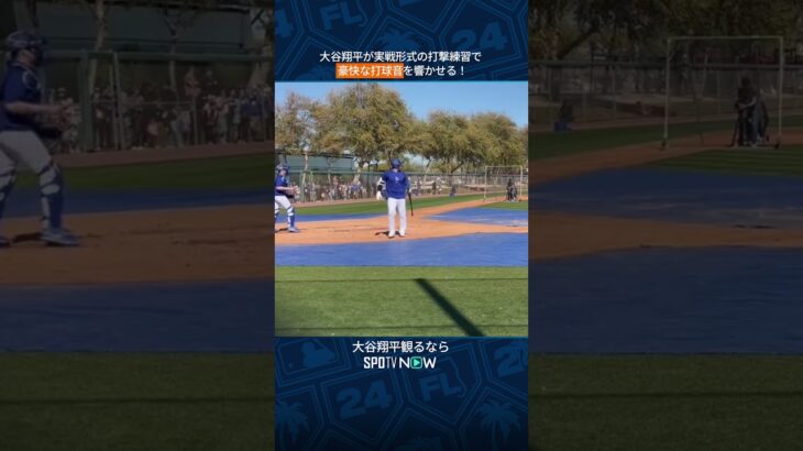 【MLB】大谷翔平が実戦形式の打撃練習で豪快な打球音を響かせる！#shorts  #サッカー #spotvnow