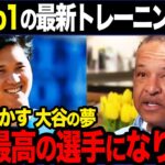 歴代No1を目指す選手のトレーニング内容ご紹介【海外の反応】【大谷翔平】