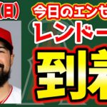 【エンゼルス最新】ウォード投手もOK😭レンドーン降臨✨バウアーがエンゼルス施設へ🤔シャニュエル謎トレ😂バックマン卒業🎉ソトまたDFA😥　メジャーリーグ　mlb【ぶらっど】