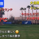 【ライブ配信】大谷翔平選手は今日もトレーニング❓今日からスプリングゲーム⚾️ファンの皆さんと楽しく😆気ままにおしゃべり&お散歩💫Shinsuke Handyman がライブ配信中！