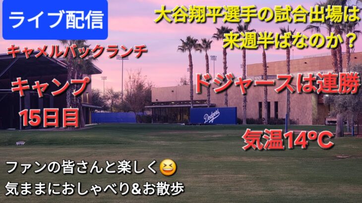 【ライブ配信】大谷翔平選手は来週の半ばから試合出場か❓ドジャース連勝⚾️ファンの皆さんと楽しく😆気ままにおしゃべり&お散歩💫Shinsuke Handyman がライブ配信中！