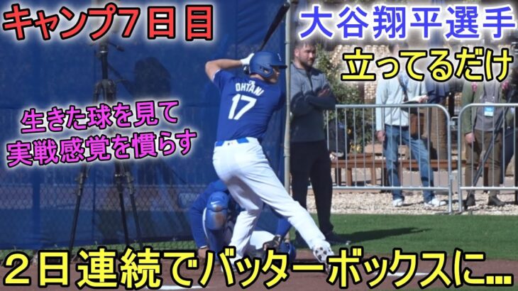 ２日連続でバッターボックスに…立ってるだけ！【大谷翔平選手】実戦感覚を慣らす～キャンプ７日目～Shohei Ohtani 2024 Live BP Spring Training Day ７