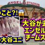 衝撃‼️大量の大谷のユニフォームがエンゼルスタジアムに出現😱 【現地映像】ShoheiOhtani Dodgers