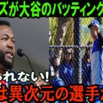 【大谷翔平】米TVでオルティズが大谷翔平を絶賛！「大谷は異次元の選手だよ」考えられない!【海外の反応】