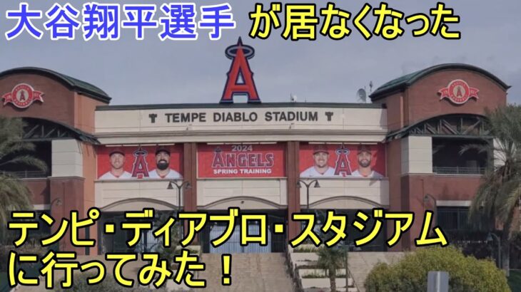 大谷翔平選手が居なくなったテンピ・ディアブロ・スタジアムに行ってみました。【大谷翔平選手】Tempe Diablo Stadium 2024 Angels